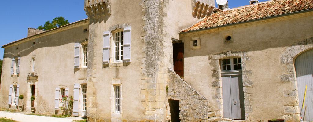 Château de La Combe Puyrenier Exterior foto